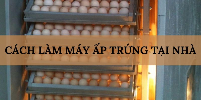 Banner www.conhantao3d.com