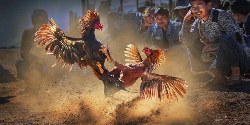 Banner www.conhantao3d.com