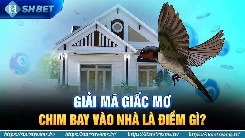 Banner www.conhantao3d.com