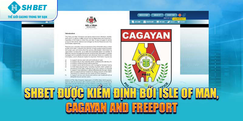 Banner www.conhantao3d.com