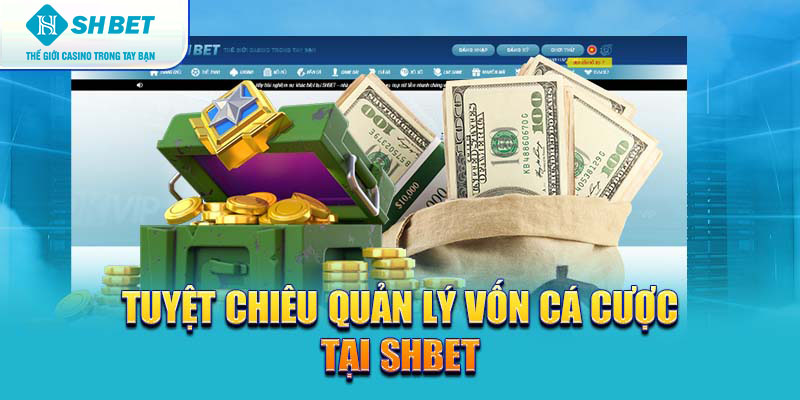 Banner www.conhantao3d.com