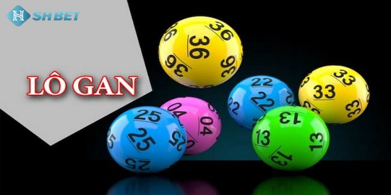 Banner www.conhantao3d.com